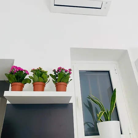 Apartment Elegant