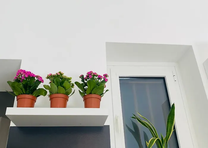 Apartament Elegant